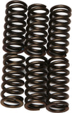 EBC CLUTCH SPRINGS CSK11