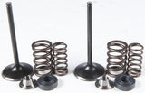 KPMI INTAKE VALVE/SPRING KIT STAINLESS STEEL 80-81100