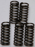EBC CLUTCH SPRINGS CSK132