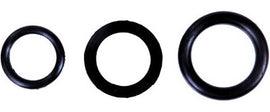 SP1 WINDSHIELD O-RINGS 3/4