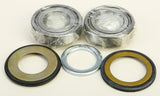 ALL BALLS STEERING BEARING/SEAL KIT 22-1066