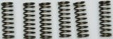 EBC CLUTCH SPRINGS CSK205