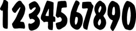 DIRT DIGITS #9 WHITE PRO LITE DIGITS 3/PK PL53W-9