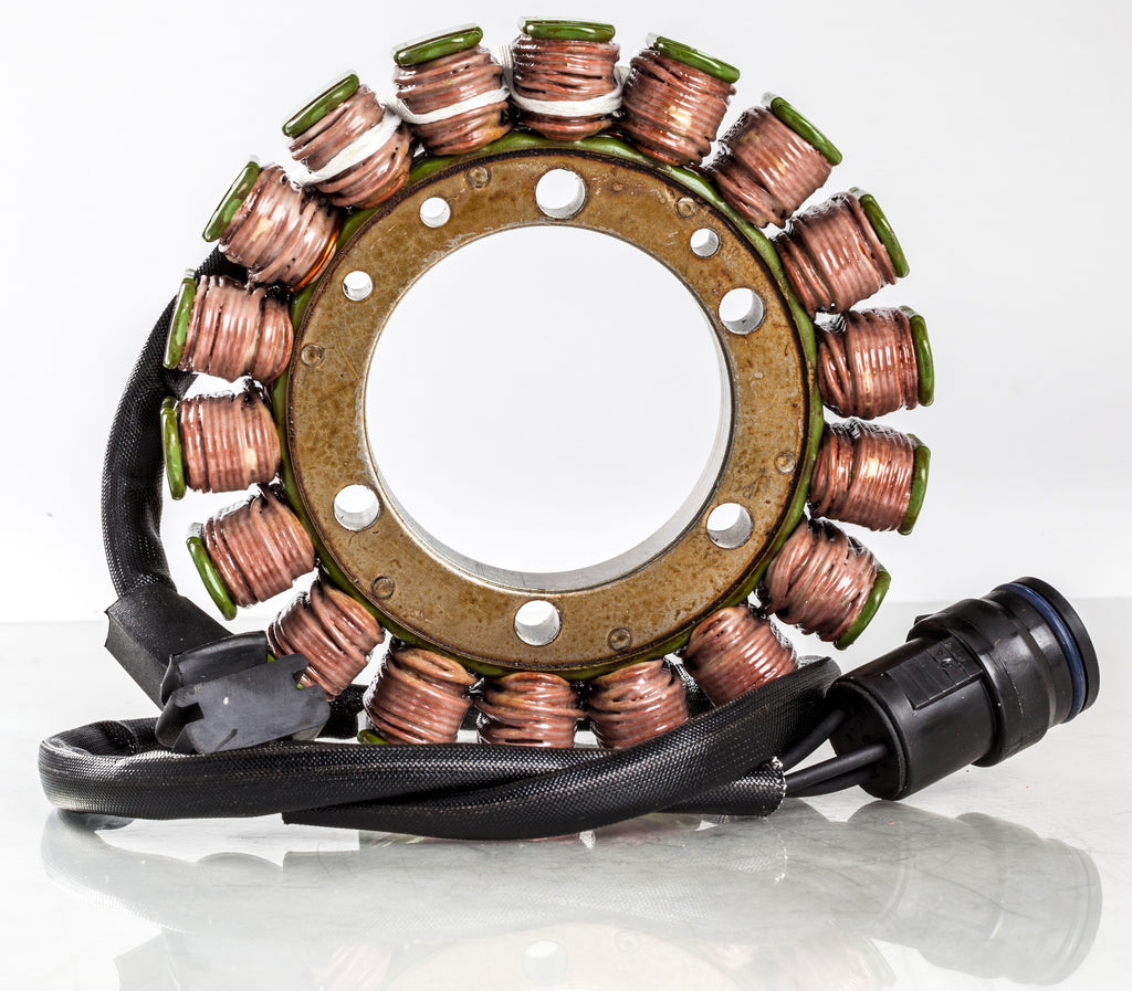 RICKS STATOR 21-060
