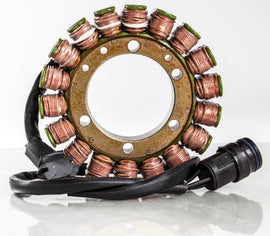 RICKS STATOR 21-060