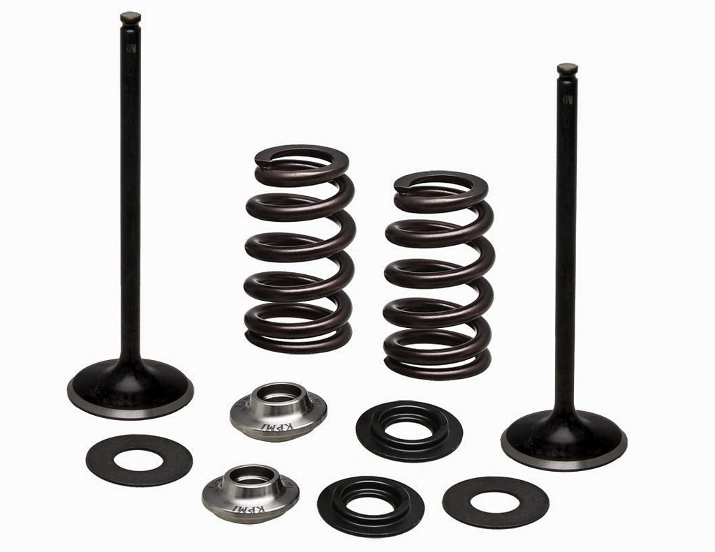 KPMI SS INTAKE VALVE/SPRING KIT 96-96540