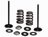 KPMI SS INTAKE VALVE/SPRING KIT 96-96540