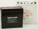 YUASA BATTERY YT19BL-BS MAINTENANCE FREE YUAM6219BL
