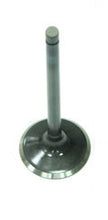 Load image into Gallery viewer, BRONCO EXHAUST VALVE AU-09151E