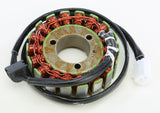 RICKS STATOR 21-306