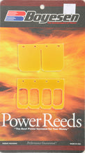 Load image into Gallery viewer, BOYESEN WATERCRAFT POWER REEDS 13