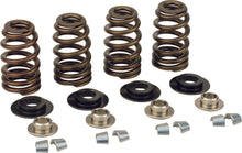 Load image into Gallery viewer, LUNATI LUNATI BEEHIVE SPRING KIT EVO TITANIUM 74820KH2