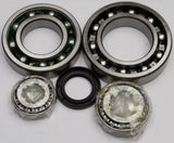 ALL BALLS REAR DIFFERENTIAL BEARING AND SEAL KIT 25-2038
