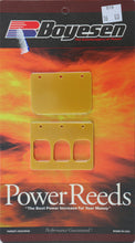 Load image into Gallery viewer, BOYESEN WATERCRAFT POWER REEDS 19