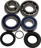 ALL BALLS CHAIN CASE BEARING & SEAL KIT 14-1059