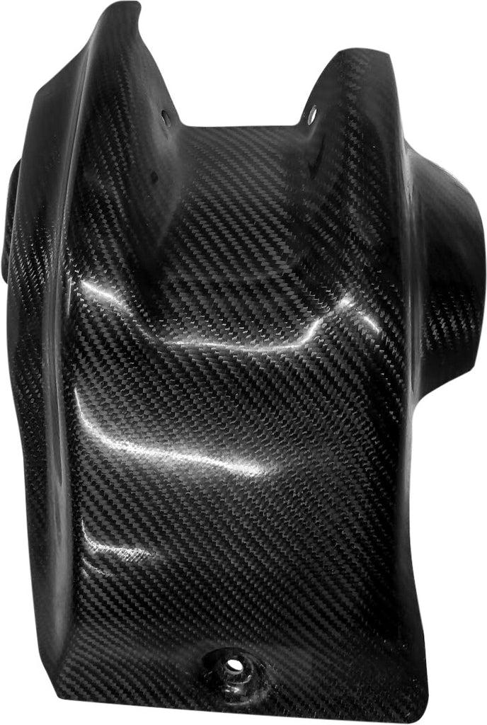 P3 SKID PLATE CARBON FIBER 301093-19E