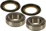 ALL BALLS STEERING BEARING/SEAL KIT 22-1021