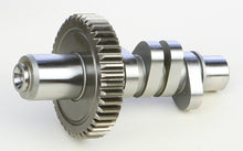 Load image into Gallery viewer, LUNATI CAM HARLEY 84-99 V289HR03 HARLEY BIG TWIN EVOLUTION 20300702-atv motorcycle utv parts accessories gear helmets jackets gloves pantsAll Terrain Depot