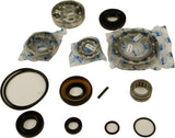 ALL BALLS DIFFERENTIAL BEARING AND SEAL KIT 25-2091