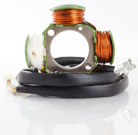 RICKS STATOR 21-820H