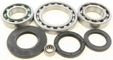 ALL BALLS REAR DIFFERENTIAL BEARING AND SEAL KIT 25-2023