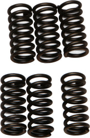 EBC CLUTCH SPRINGS CSK2-atv motorcycle utv parts accessories gear helmets jackets gloves pantsAll Terrain Depot