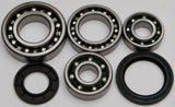 ALL BALLS REAR DIFFERENTIAL BEARING AND SEAL KIT 25-2017