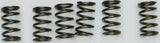 EBC CLUTCH SPRINGS CSK130
