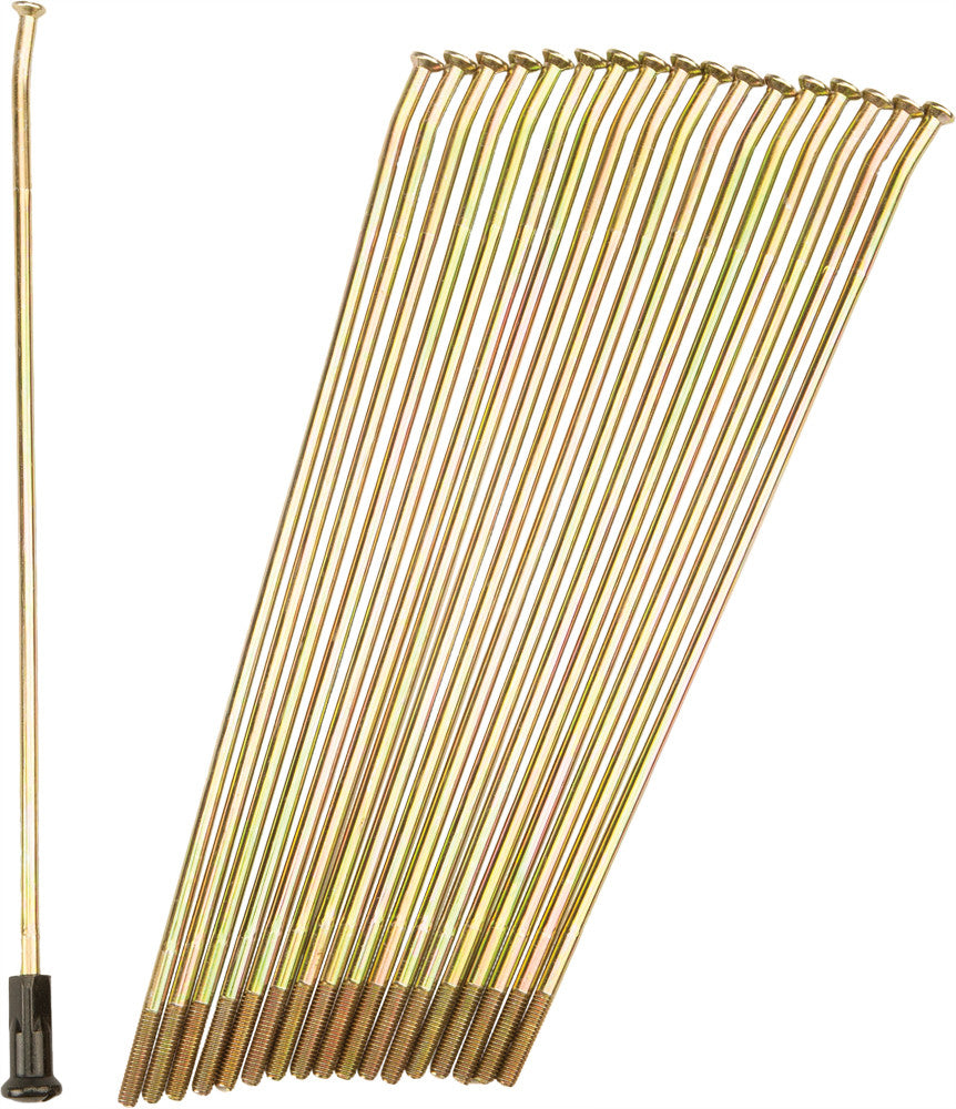 PRO-WHEEL DOUBLE BUTTED SPOKES GOLD/BLACK REAR 19" 36/PK 19-G205203-2