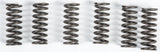 EBC CLUTCH SPRINGS CSK49