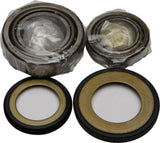 ALL BALLS STEERING BEARING/SEAL KIT 22-1025