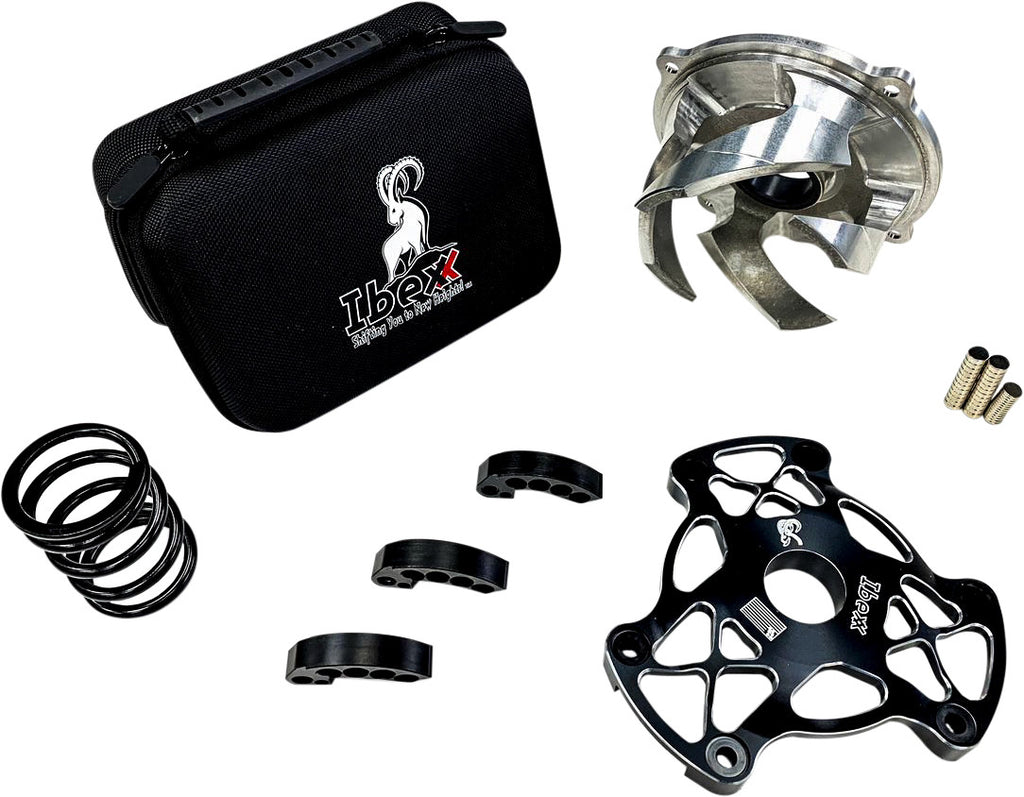 IBEXX CLUTCH KIT AXYS 850 STAGE 2+ 11726-4
