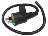 BRONCO ATV IGNITION COIL AT-01300