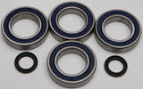 ALL BALLS WHEEL BEARING & SEAL KIT 25-1128