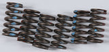 KG HIGH PERFORMANCE SPRING SET KGS-028