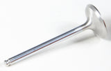 KPMI WHITE DIAMOND EXHAUST VALVE 80-80217H