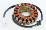 RICKS STATOR 21-206