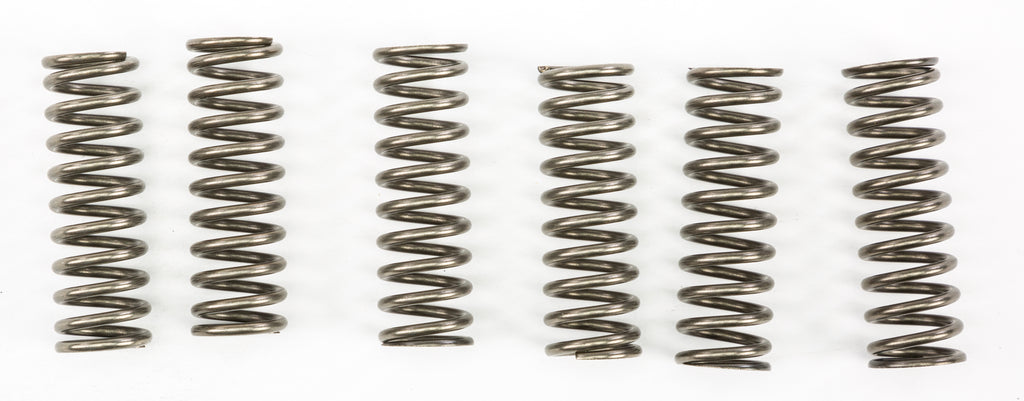 EBC CLUTCH SPRINGS CSK187
