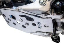 Load image into Gallery viewer, WORKS SKID PLATE W/RIMS SYSTEM 10-580