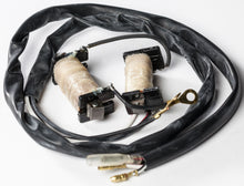 Load image into Gallery viewer, RICKS STATOR KIT 22-780