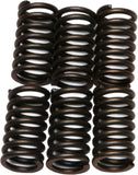 EBC CLUTCH SPRINGS CSK41