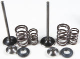 KPMI INTAKE VALVE/SPRING KIT STAINLESS STEEL 96-96130