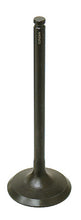 Load image into Gallery viewer, BRONCO EXHAUST VALVE AU-09166E