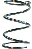 SPEEDWERX H5 DRIVEN CLUTCH SPRING BLACK CCH5-L-125-200