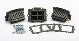 MOTO TASSINARI VFORCE3 REED SYSTEM V3120-794A-3