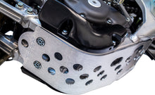 Load image into Gallery viewer, WORKS SKID PLATE W/RIMS SYSTEM 10-580