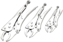 Load image into Gallery viewer, PERFORMANCE 3 PC LOCKING PLIER SET W1107DB