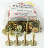 STUD BOY POWER PLATE PLUS BACKERS 1.875