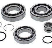 ALL BALLS REAR DIFFERENTIAL BEARING AND SEAL KIT 25-2109