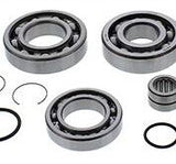 ALL BALLS REAR DIFFERENTIAL BEARING AND SEAL KIT 25-2109